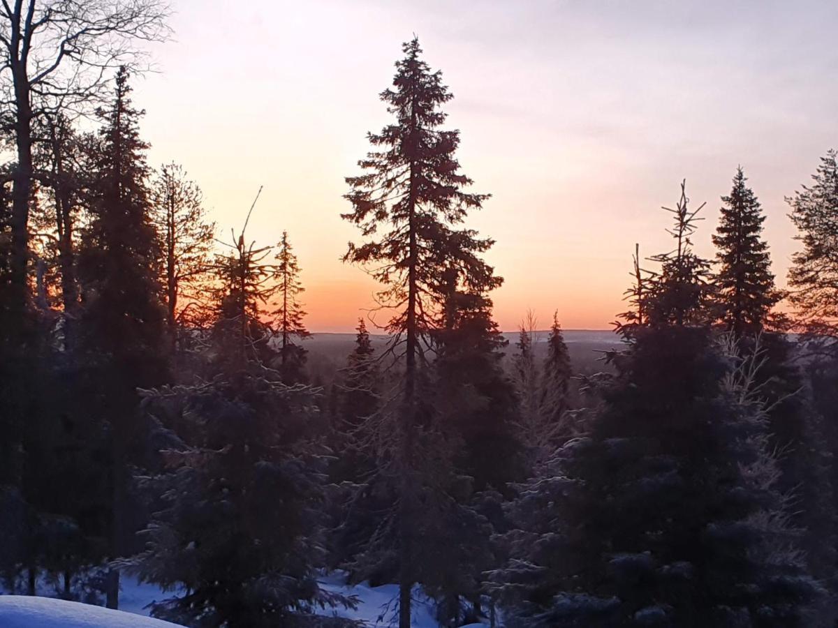 Hietavilla Aurora Рука Экстерьер фото