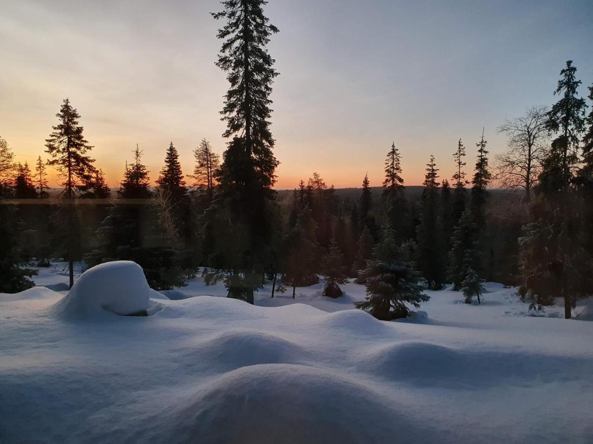 Hietavilla Aurora Рука Экстерьер фото