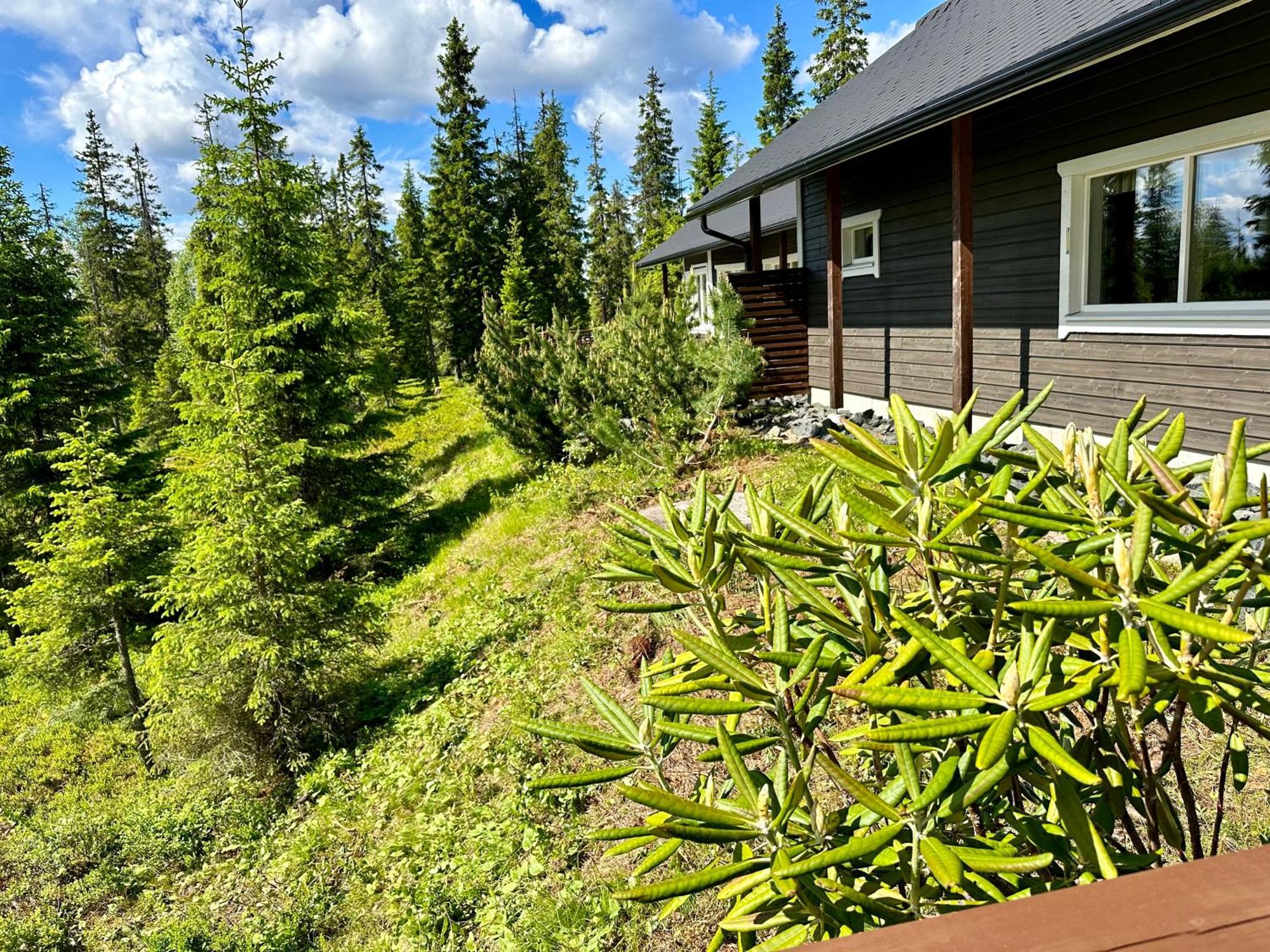 Hietavilla Aurora Рука Экстерьер фото